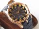 Perfect Replica ZZ Factory Roger Dubuis Knights Of The Round Table Black Jade Dial Rose Gold Case 45mm Watch (2)_th.jpg